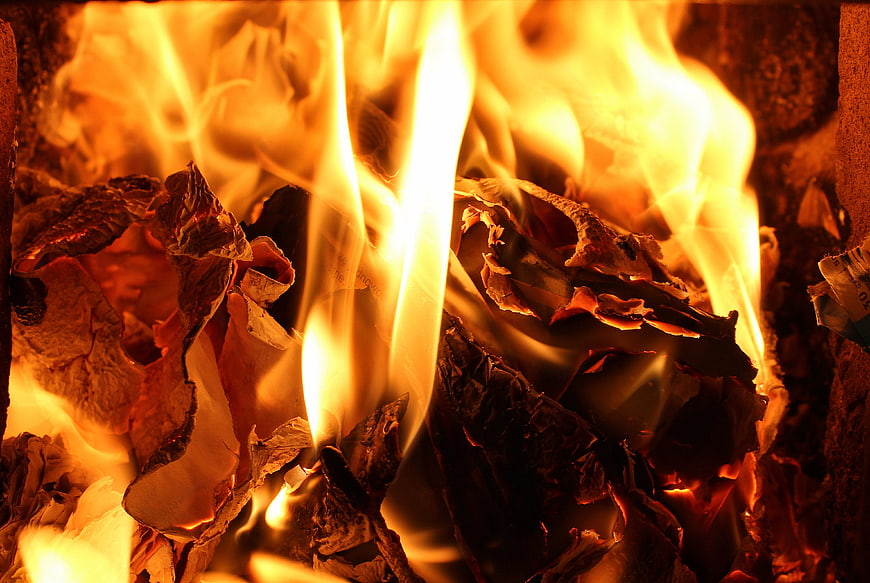 Close-up of burning wood logs in a fireplace