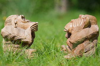 Wooden see no evil hear no evil monkey statues in grass