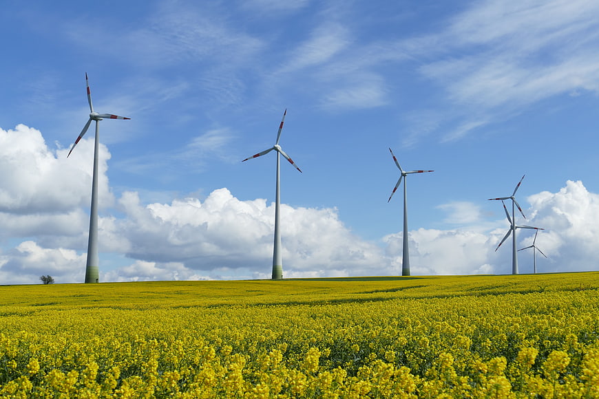 Wind turbines in a yellow rapeseed field under blue sky
