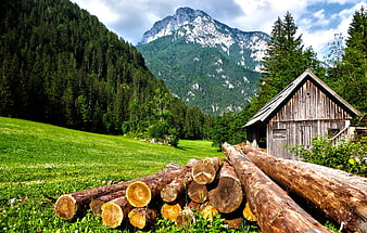 Stack of cut logs in green meadow with wooden cabin and mountain