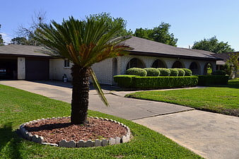 Single-story brick house exterior with palm tree and manicured lawn