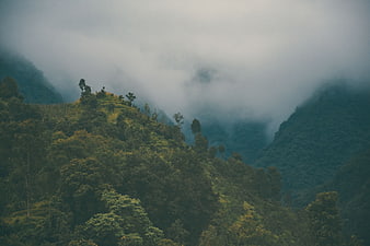 Misty Mountain Landscape with Lush Green Forest
