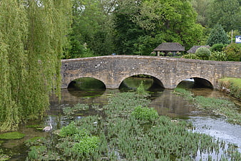 Stone arch bridge over river with swan and weeping willow