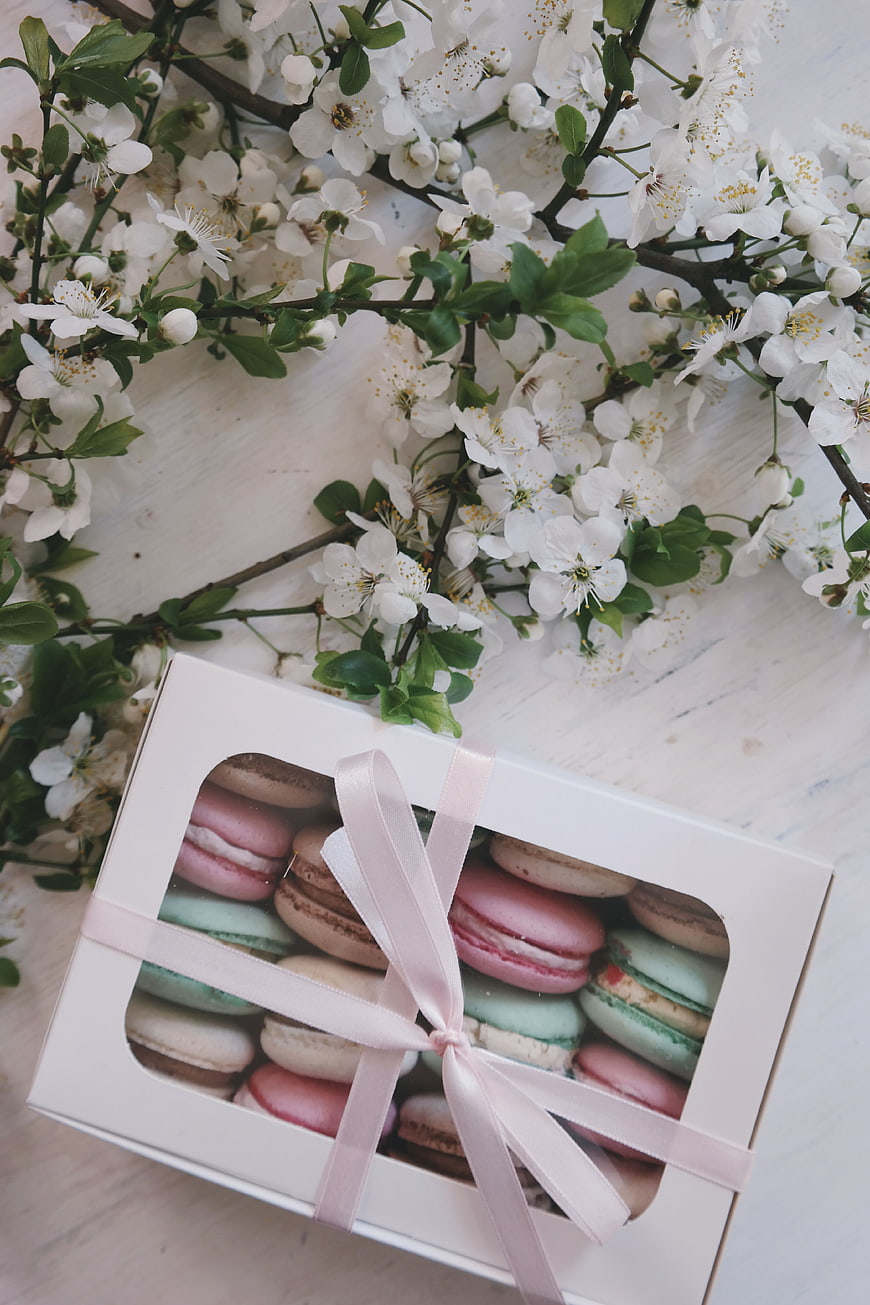 Box of colorful macarons with white spring blossoms