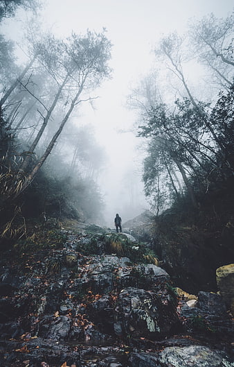 Lone Hiker Walking Through Misty Forest Path