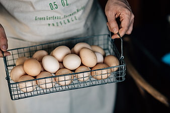 Farmer holding wire basket of fresh brown eggs