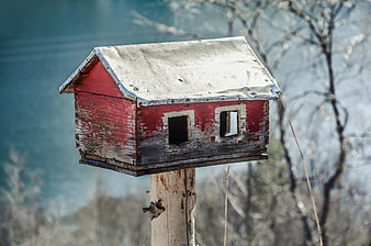 Rustic Red Birdhouse with Snowy Roof in Winter