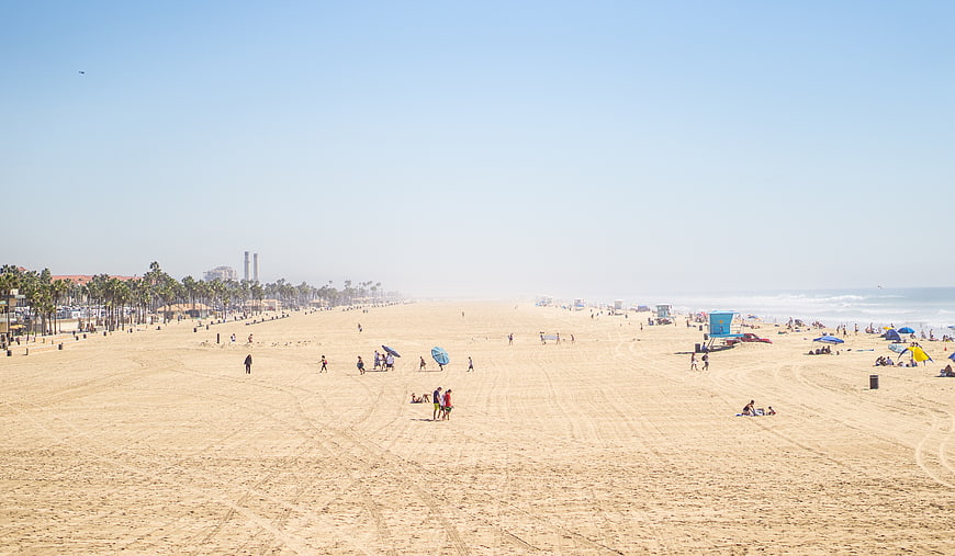 Wide sandy beach with palm trees and ocean on a sunny day