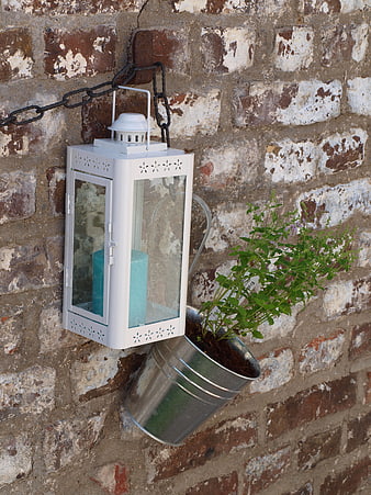 White Lantern and Herb Plant on Weathered Brick Wall