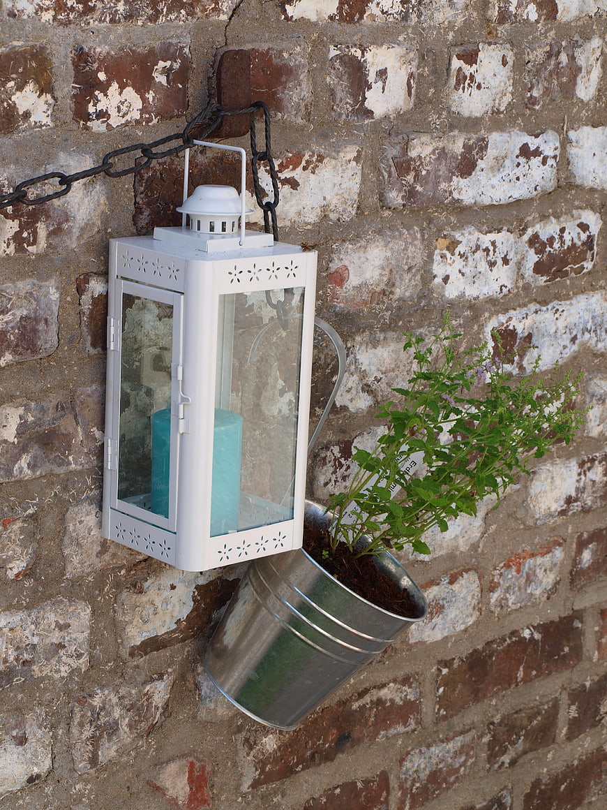 White Lantern and Herb Plant on Weathered Brick Wall