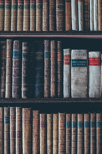 Vintage Antique Books on Wooden Shelves