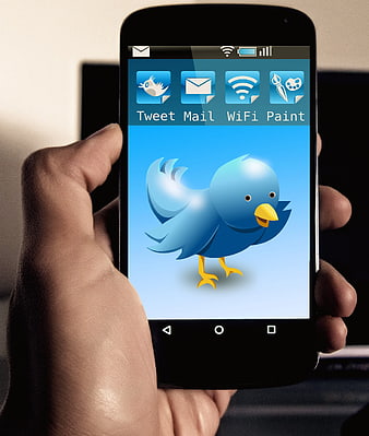 Hand holding smartphone displaying Twitter app interface with blue bird icon