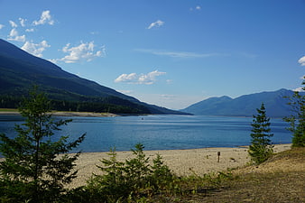 Scenic Lake Landscape with Mountains and Pine Trees