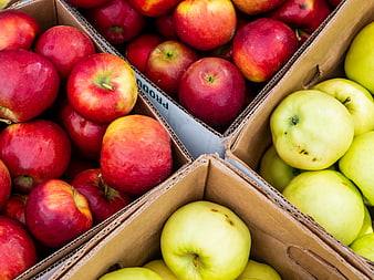 Fresh red and green apples in cardboard boxes