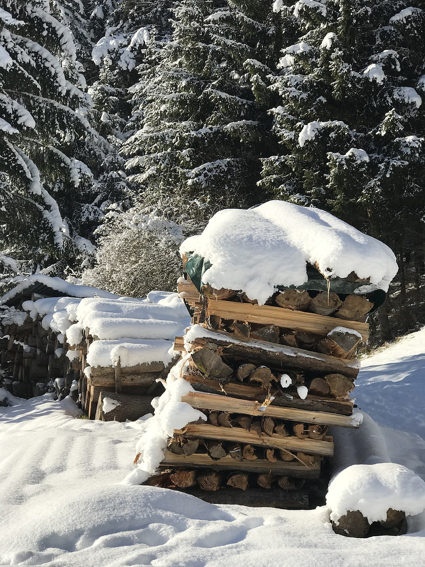 Stacked firewood covered in snow in a winter forest