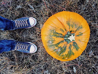 Top-down view of large orange pumpkin next to blue sneakers on dry grass