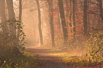 Man Running on Misty Autumn Forest Path