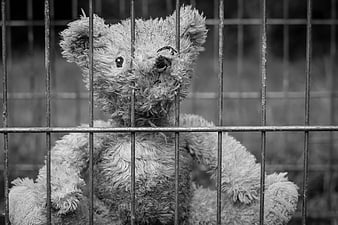 Lonely worn teddy bear behind metal cage bars