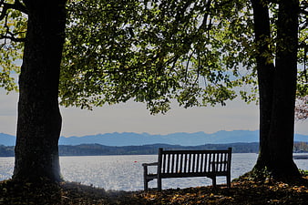 Wooden bench by lake with mountains and trees