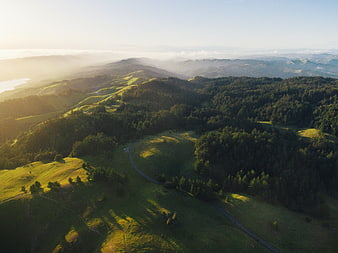 Aerial View of Rolling Green Hills and Forests at Sunrise