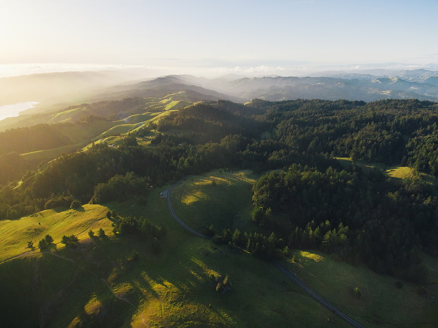 Aerial View of Rolling Green Hills and Forests at Sunrise