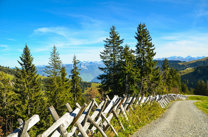 Scenic Alpine Trail with Wooden Fence and Mountain View