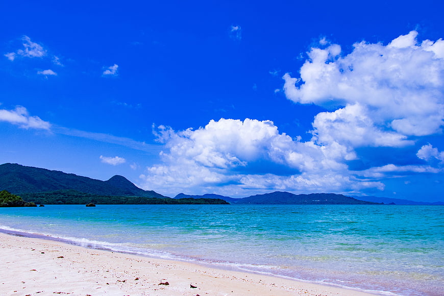 Tropical Beach Landscape with Turquoise Water and Blue Sky