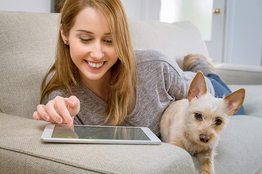 Happy woman using tablet with small dog on couch