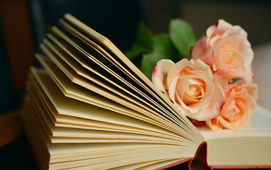 Open Book with Soft Pink Roses and Green Leaves