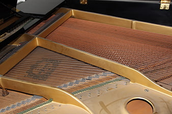 Close-up of grand piano strings and golden frame