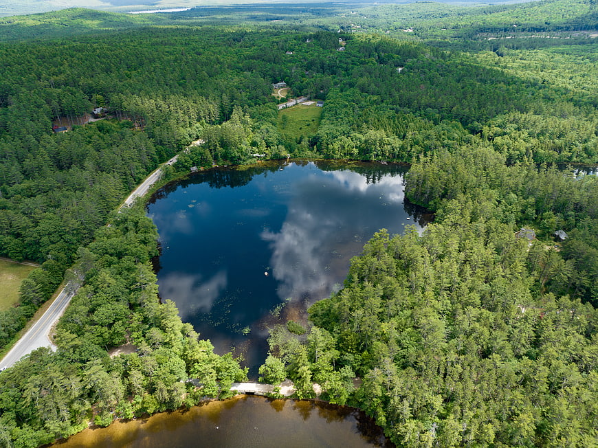 Aerial view of serene forest pond surrounded by lush green trees