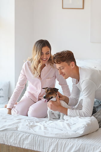 Happy couple playing with dog in bright bedroom