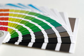 Fanned Color Swatch Book for Printing and Design