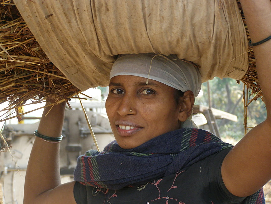 Woman Carrying Hay Bundle on Head in Rural Setting