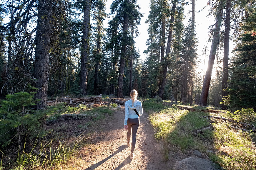 Woman hiking on forest path with sunlight