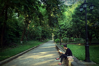 Man reading book on park bench under trees