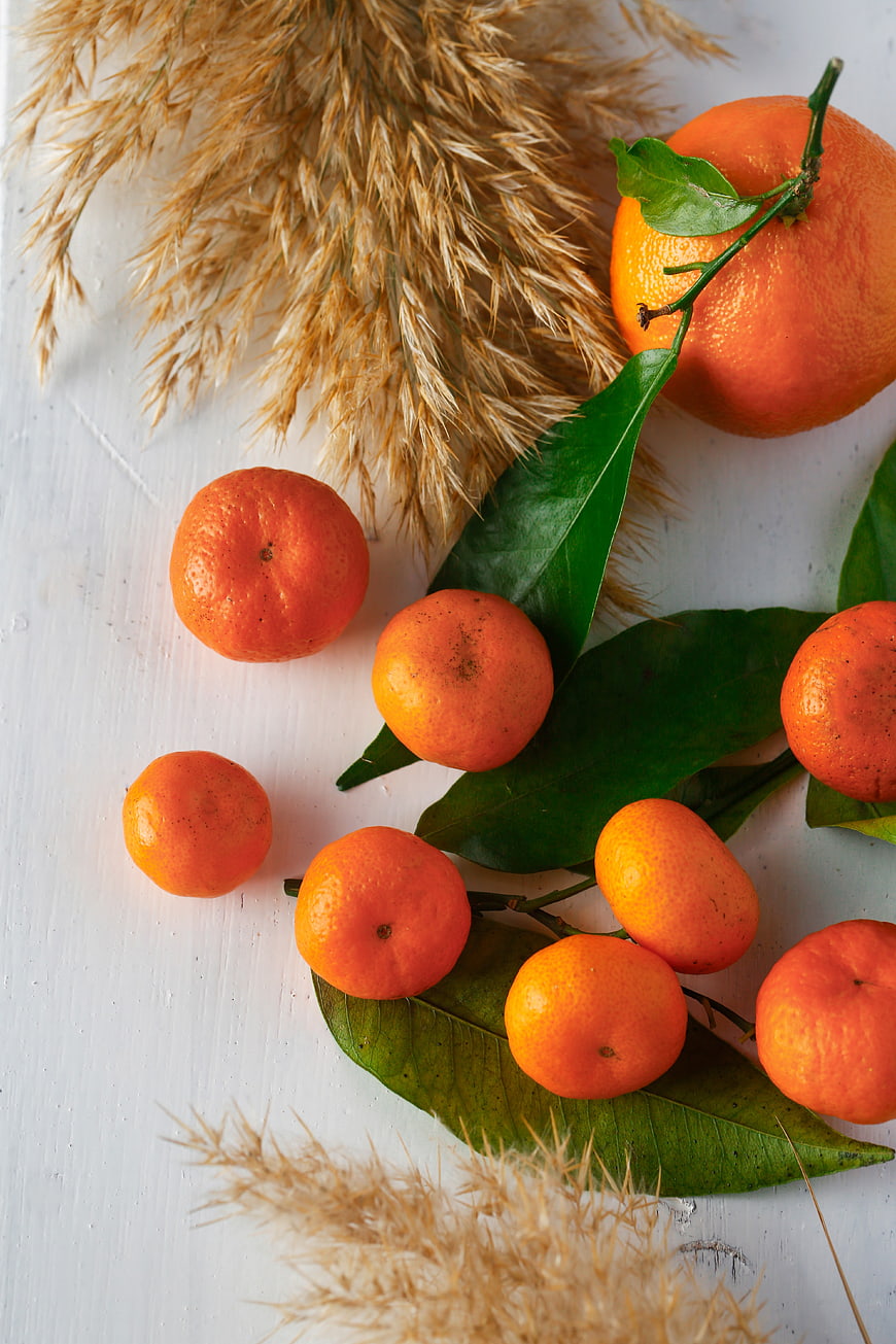 Fresh tangerines and dried pampas grass on white background