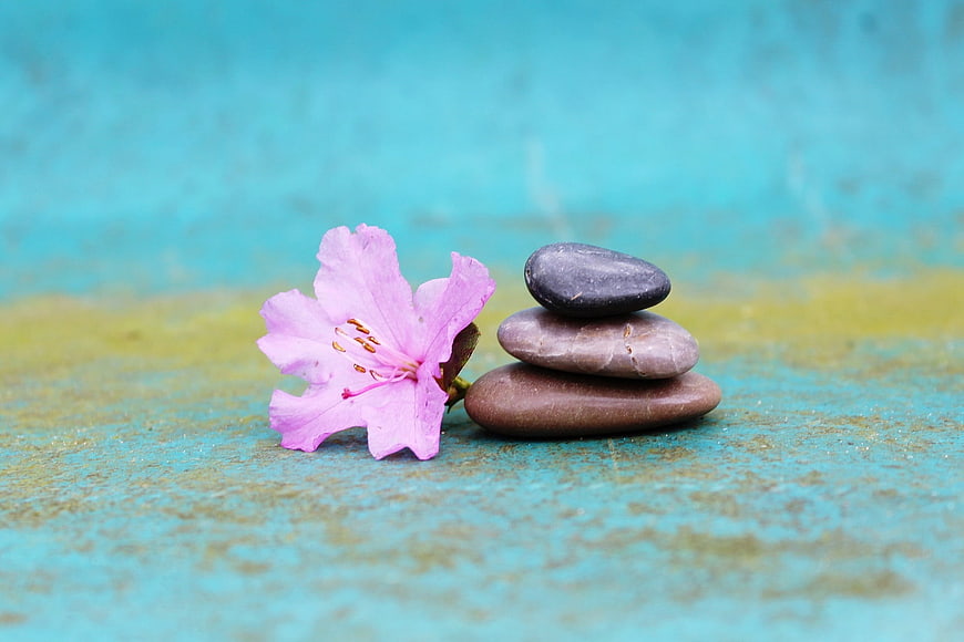 Pink Azalea Flower Next to Stacked Zen Stones on Blue Background