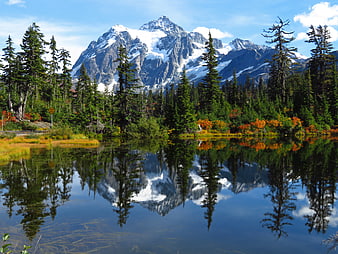 Snowy Mountain Peak Reflected in Calm Forest Pond