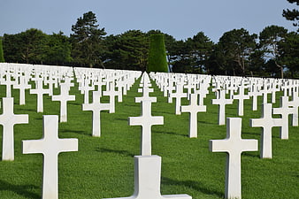 Rows of white crosses in a military cemetery with green lawn and trees