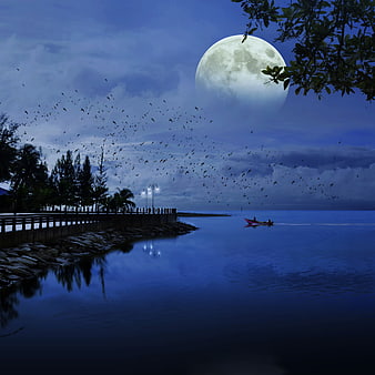 Full Moon Over Calm Sea With Birds And Small Boat At Night