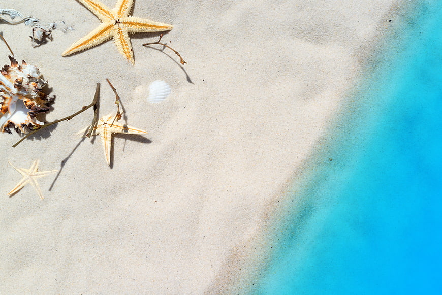 Top View of Starfish and Shells on White Sand Beach