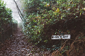 Path to Jetty Sign on Misty Forest Trail