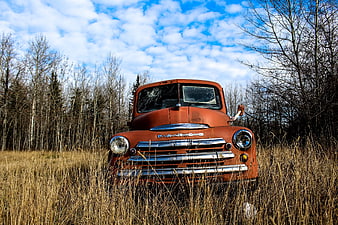 Rusty vintage Fargo truck abandoned in tall grass field