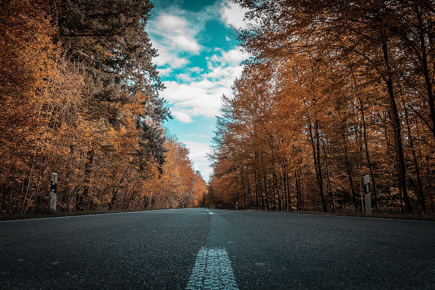 Asphalt road through golden autumn forest with blue sky