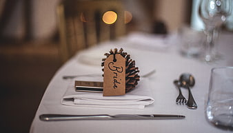 Rustic Wedding Table Setting with Pinecone Bride Tag