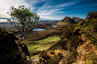 Scenic Highland Landscape with Lone Tree and Distant Mountains
