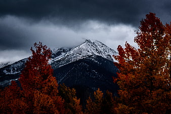 Dramatic Snow-Capped Mountain Peak with Autumn Trees