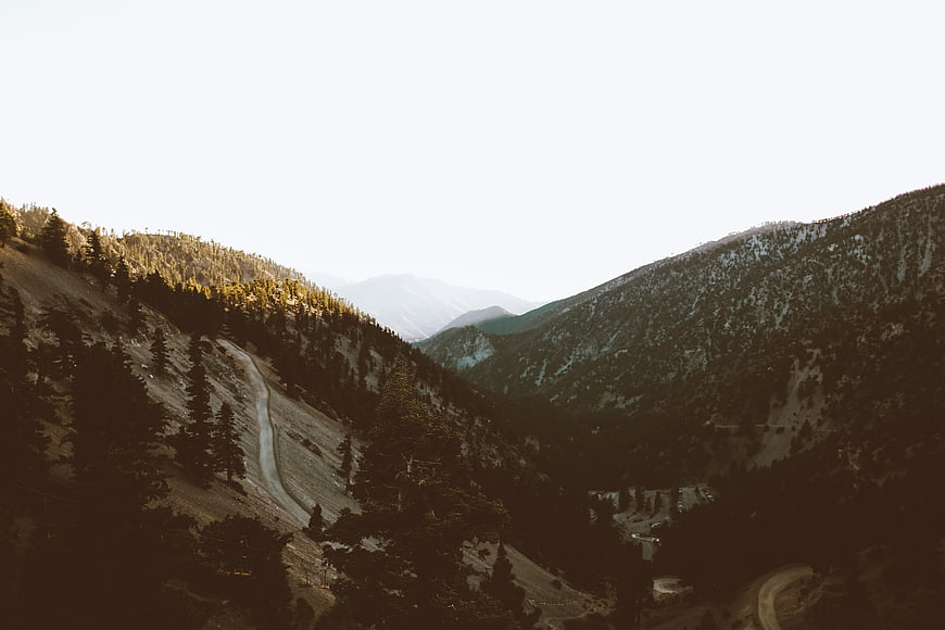 Winding Mountain Road Through Forested Valley at Sunset