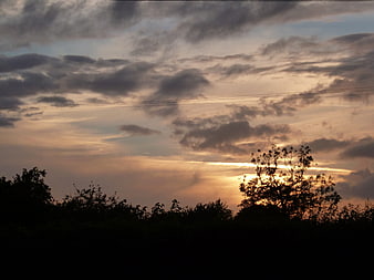 Dramatic sunset sky with silhouetted trees and clouds